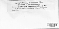 Image Associated With the Occurence